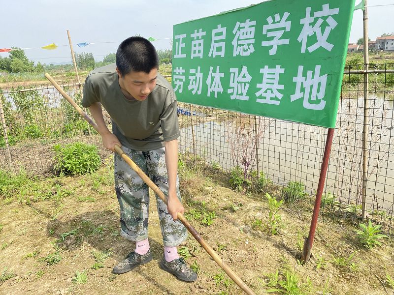 叛逆孩子怎么教，特训学校这样说(图2)