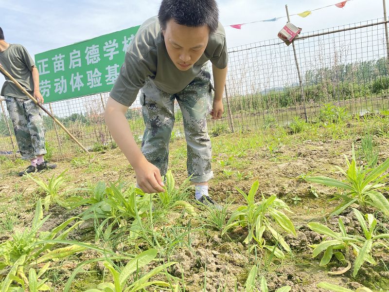 不当的家庭教育会导致青少年心理脆弱吗？(图1)