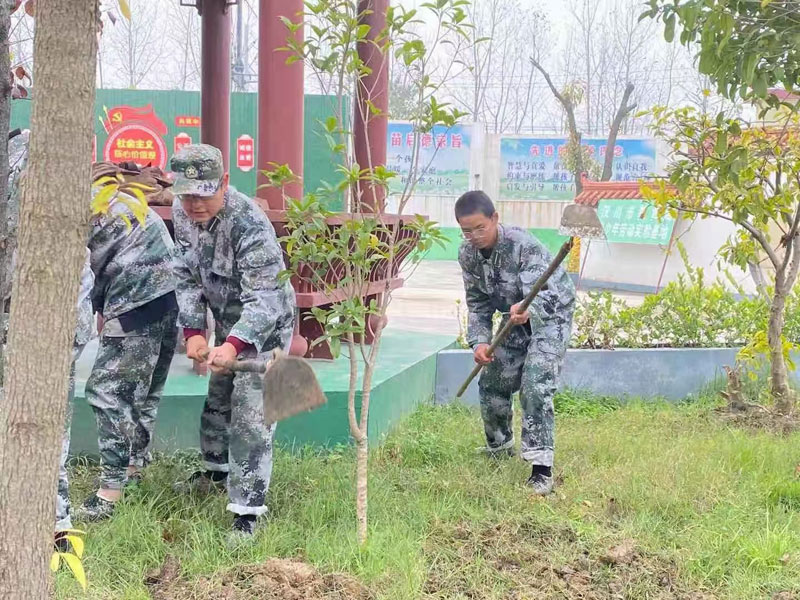 劳动教育课程(图3)