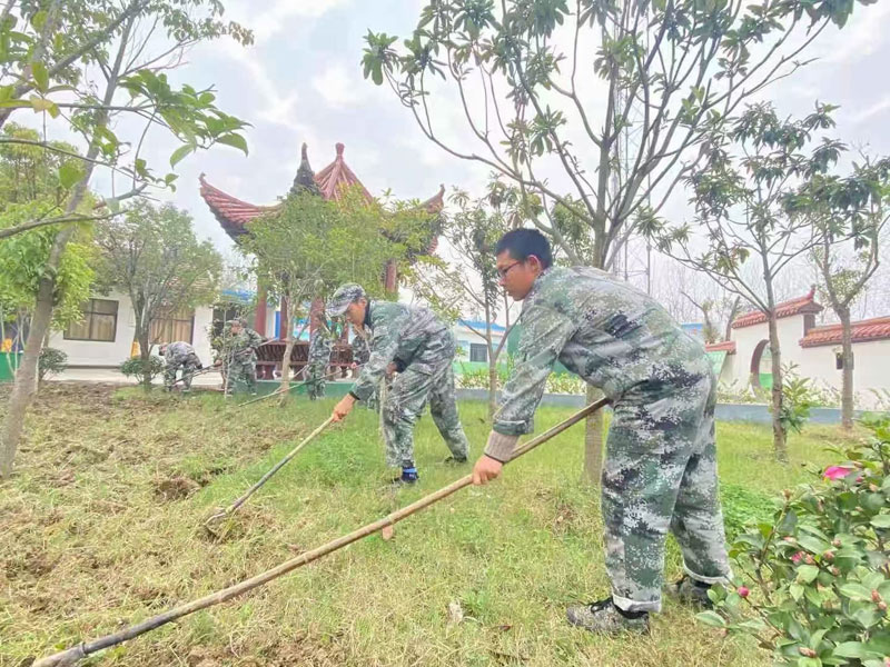 劳动教育课程(图8)