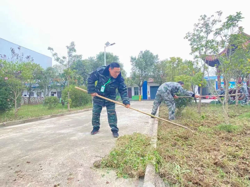 劳动教育课程(图9)