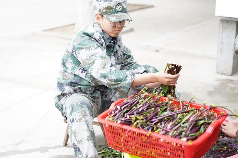 心理辅导+行为习惯养成(图4)