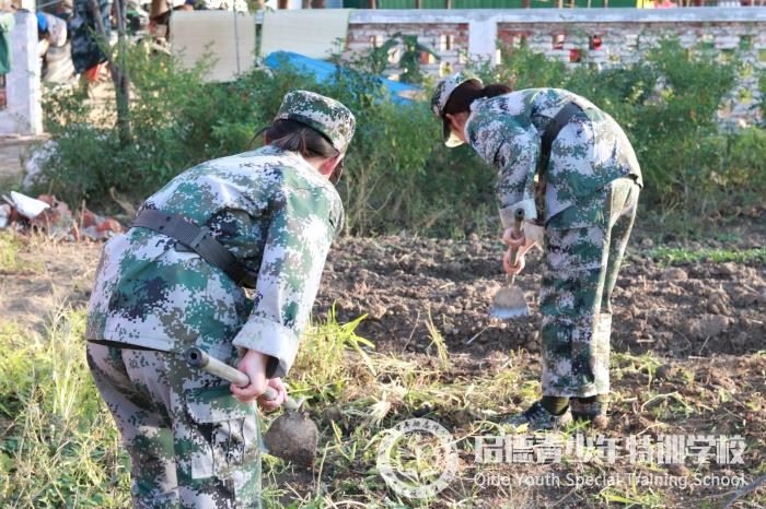 农耕体验式教育特色课程(图5)