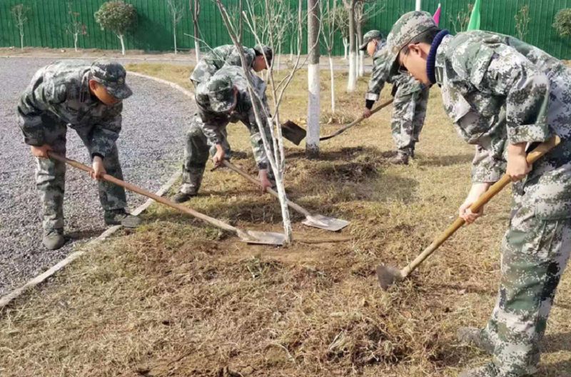 冬日暖阳 师生互动 创建最美校园(图4)