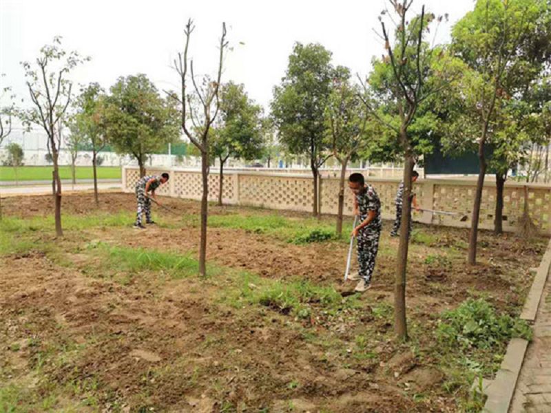 启德励志教育湖北学校劳动教育基地什么样子(图3)