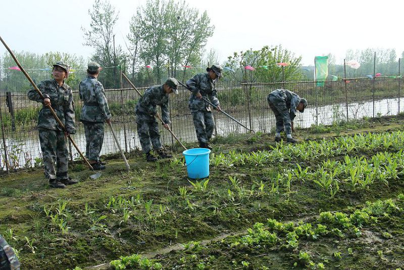 户外劳动体验(图2)