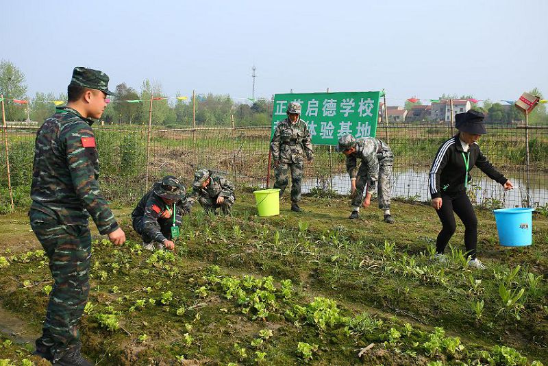 叛逆不读书孩子有没有专门的学校？孩子叛逆不读书怎么办(图2)