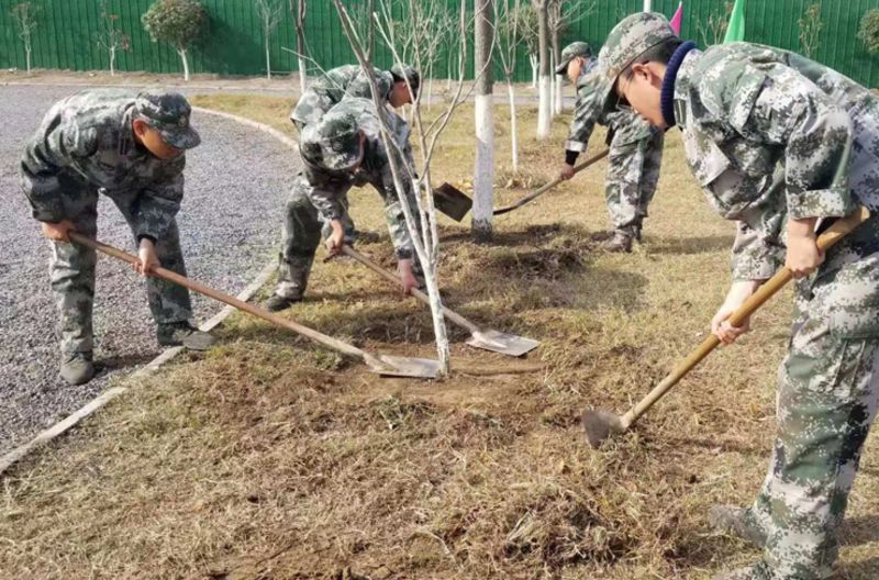 叛逆期的叛逆少年学校有什么优点？如何引导