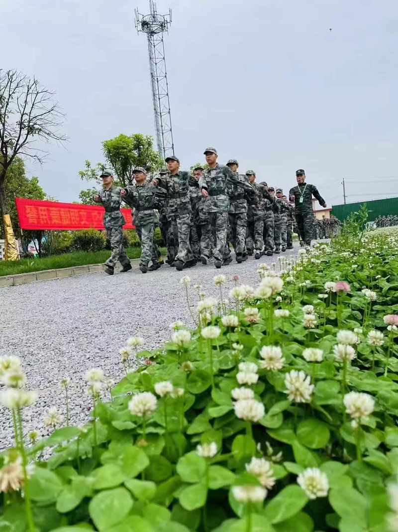 播种和收获不在同一个季节，不要急于回报(图2)