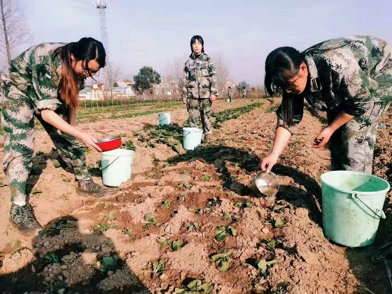 致敬中国的每一个劳动者，你们都是最伟大的(图1)