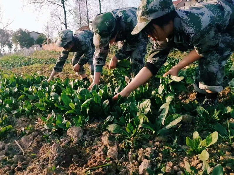 致敬中国的每一个劳动者，你们都是最伟大的(图2)