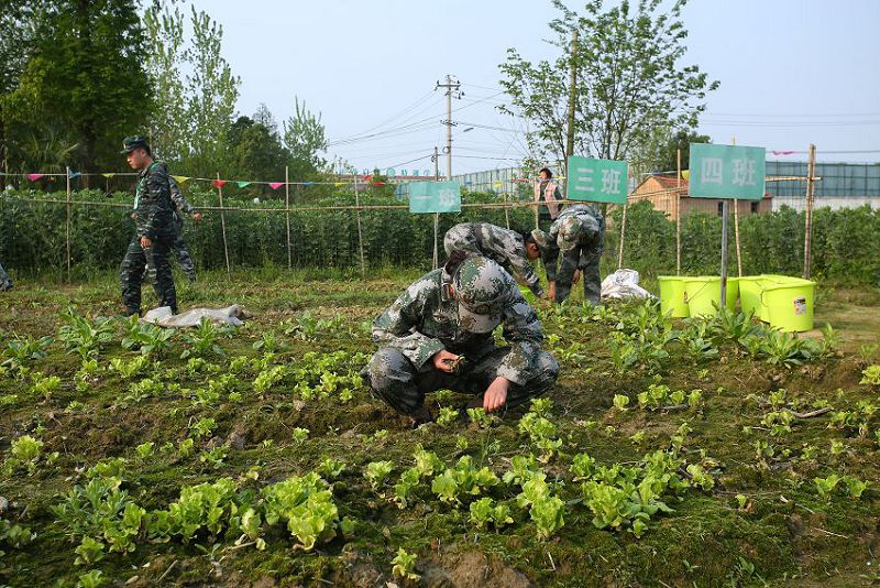 怎么改掉孩子好吃懒做的坏习惯？