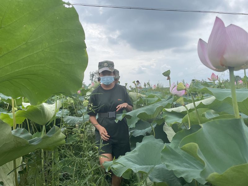 初中生青春期主题教育：早恋这件事(图2)