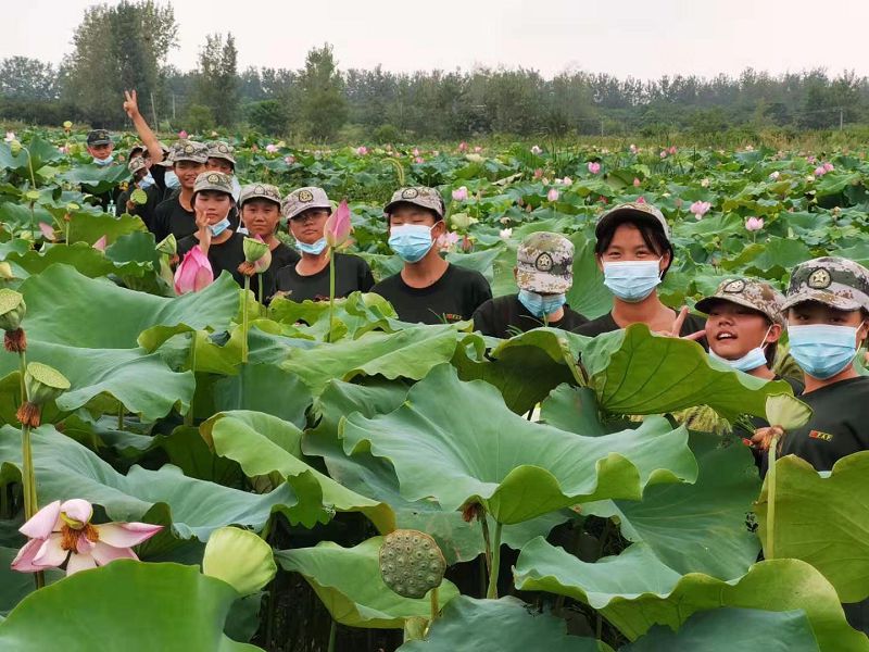 如何戒掉手机瘾？防沉迷模式有用吗？