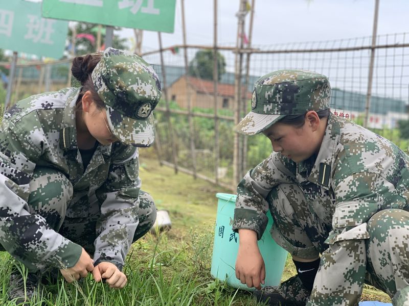 孩子叛逆厌学怎么办？家长老师要通力合作这